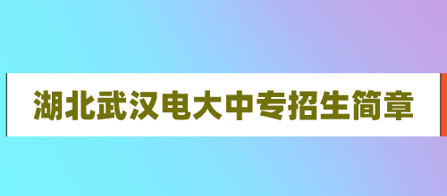 2021年湖北武汉电大中专招生简章（一年制）