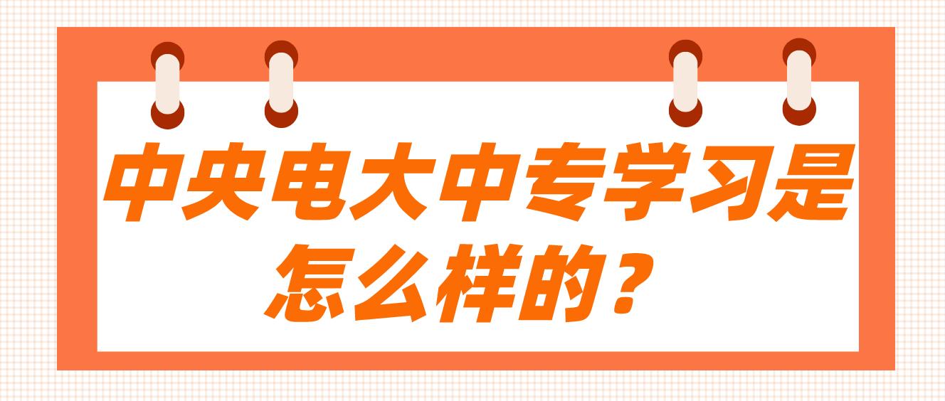 中央电大中专学习是怎么样的？