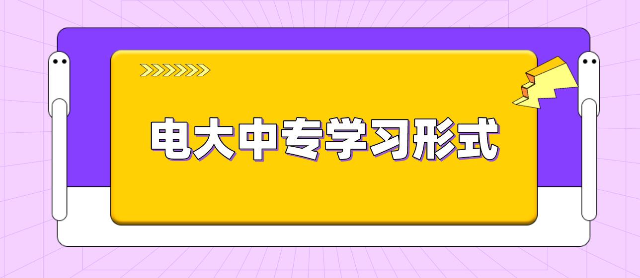 中央电大中专网上学习形式是怎样的？