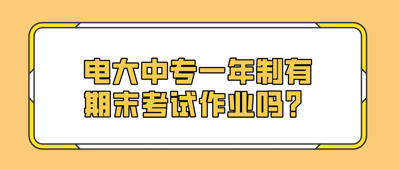 电大中专一年制有期末考试作业吗？