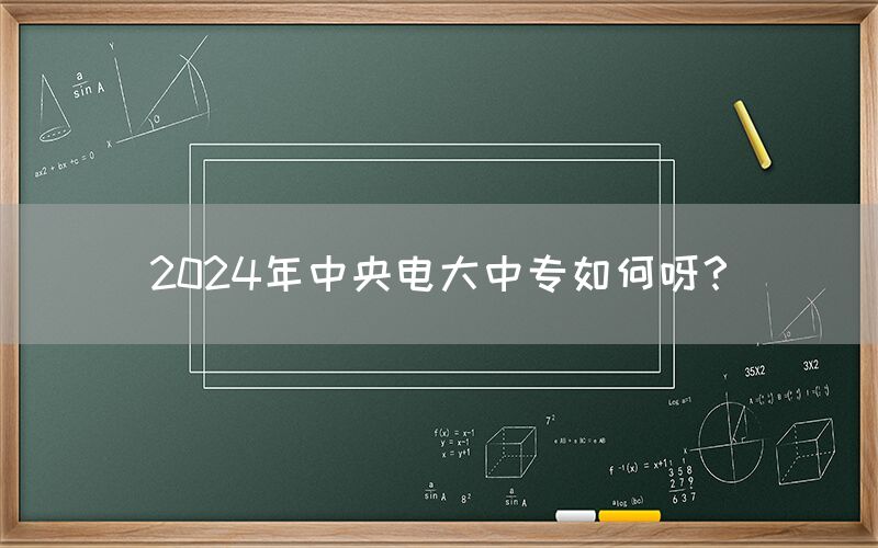 2024年中央电大中专如何呀？