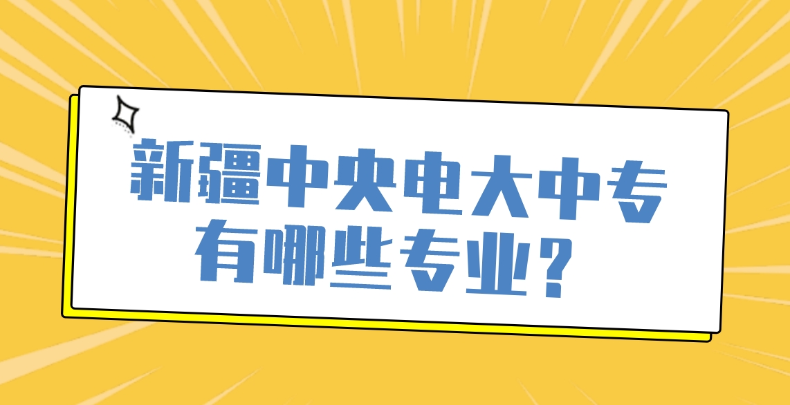 新疆中央电大中专有哪些专业？