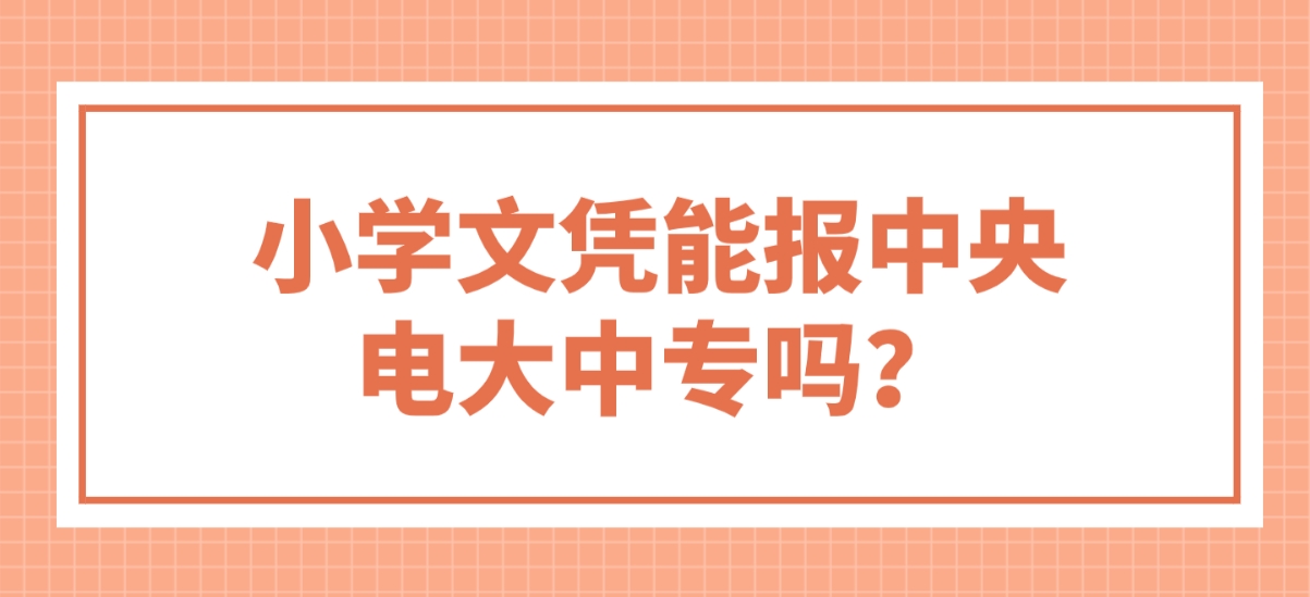 ​小学文凭能报中央电大中专吗？